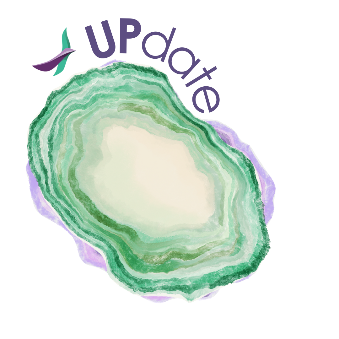 Nieuws en updates vanuit Chaya Devas